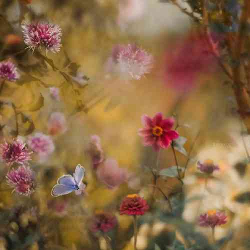 سپهر خلسه وقتی که دروغ بودن تو کتابا نصف قصه ها